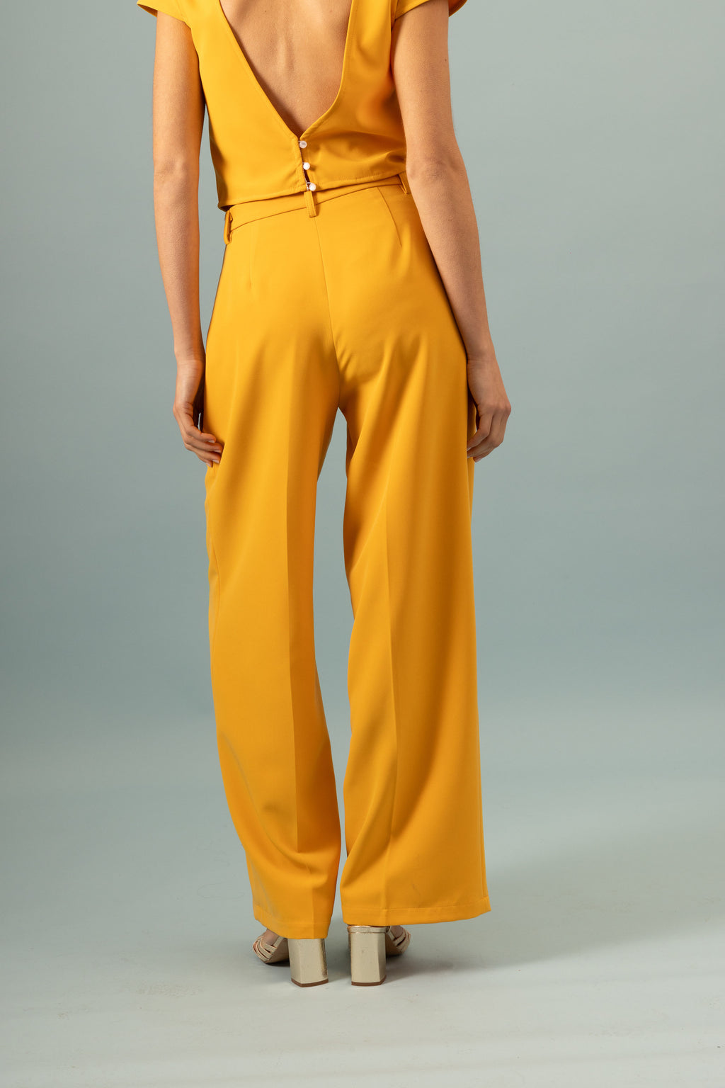 Pantalon à pinces Invitée Ocre