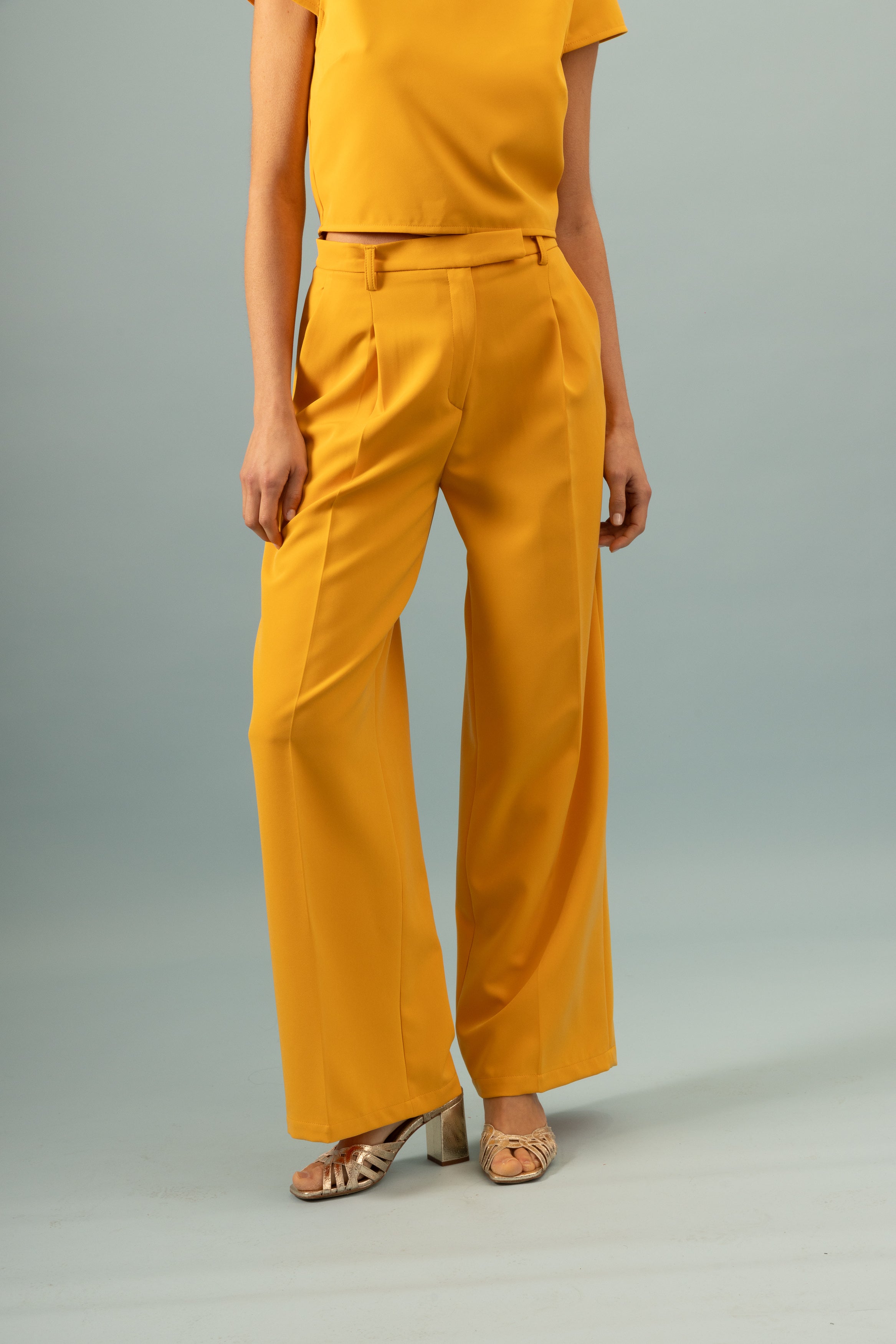 Pantalon à pinces Invitée Ocre